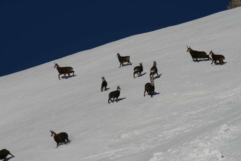 Landhaus Flunger Sankt Anton am Arlberg Esterno foto